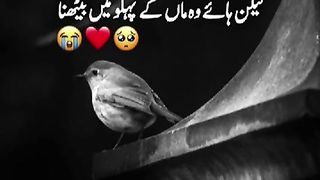 Good video