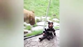 Funny
