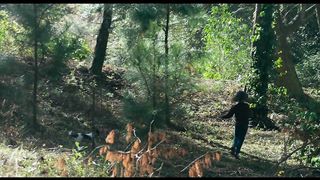 Official Trailer | Deep Water | Hulu