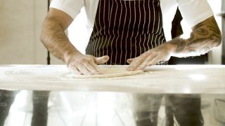 "Italian Culinary Odyssey: Savoring the Flavors of Italy"