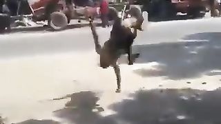 Funny