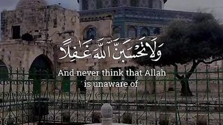 ولا تحسبن الله غافلاا عما يعمل الظالمين
