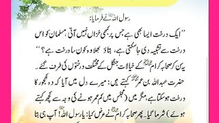 شرعی مسائل اور ان کا حل