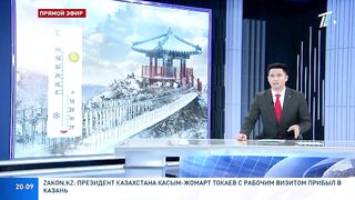 В КИТАЕ АНОМАЛЬНЫЙ МОРОЗ, ИЗ-ЗА КОТОРОГО ПОЧТИ МГНОВЕННО ПОГИБЛИ СОТНИ ПТИЦ