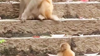 Why didn't mother help?