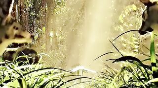 NEVER MESS WITH KONG????WAIT TILL END- YOUTUBE - SHORTS - STATUS - #KONG #SHORTS #STATUS #youtubeshorts