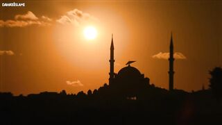Dawate Islami