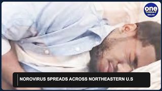Northeastern Region Hard Hit by Norovirus, a Stomach Virus Spreading Throughout the US