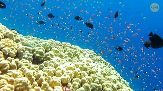 Этот остров полностью состоит из драгоценных камней.