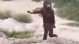 Tiktok compilation