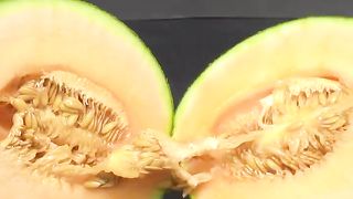 ASMR growing plant gardening