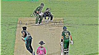 Cricket