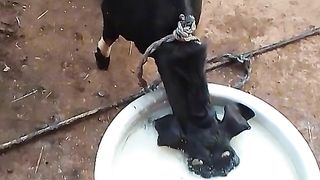 New Viral Shorts Video