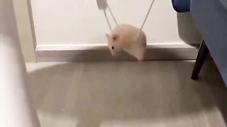 Если хочешь кататься на карусели ????