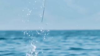 Beautiful video. Different marine animals jump out of the water.