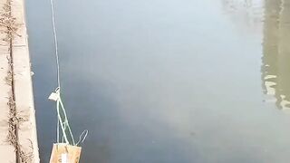 Rescue of a cat in trouble
