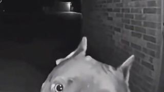 Open it immediately