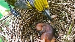 The true meaning of a mother's love