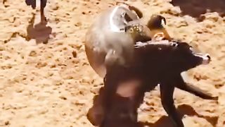 I love the slow motion ????