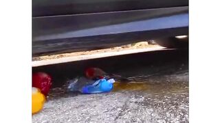 Esmagando coisas crocantes e macias de carro! #shorts #esmagamento #asmr #crocante