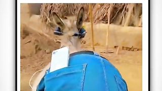 Funny new dress style of 2024
