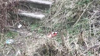 Ностальгия по Кордону STALKER