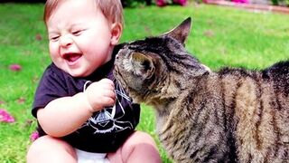 Try Not To Laugh Funny Videos - Funny Moments Of The Year Compilation ???????????? Memes PART 171