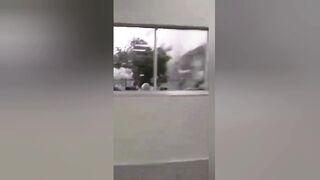 Жизнь