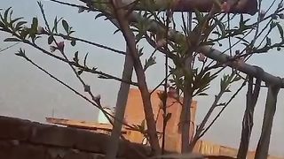 ماشاءاللہ اڑو کا پھل دیکھیں