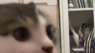 menacing cat