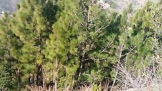 Nice Kpk