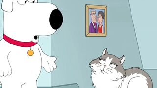 Scared of a cat