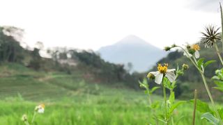 NATURE- mountain view- trawas mijokerto indonesia- #trawas #nature #wonderfullindonesia