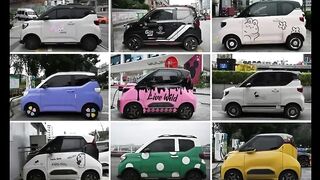 China Small electric cars have sprung up in