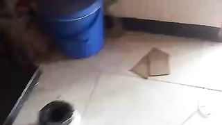 DAWET HITAM