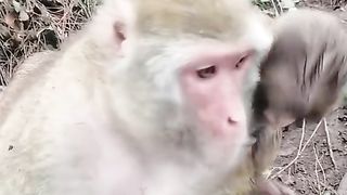 Happy to be held by mother