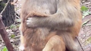 Keep hugging me, don't let go