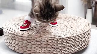 Trying on my new shoes