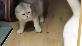 Shocked while sleeping