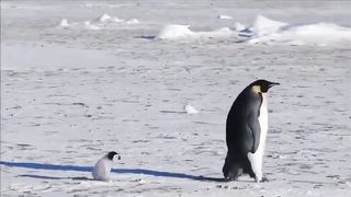 National Geographic