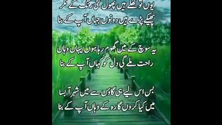 شعر و شاعری