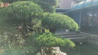 [Vlog] Walking Around at the Wonderful Place with Chinese Atmosphere