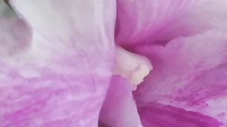 Nutare