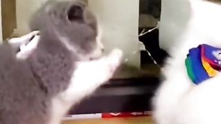 I'm learning to fight
