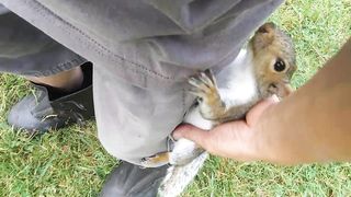 Skip My Hand.