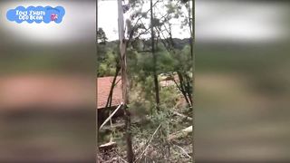 Случаи Когда ВСЁ ПОШЛО НЕ ПО ПЛАНУ