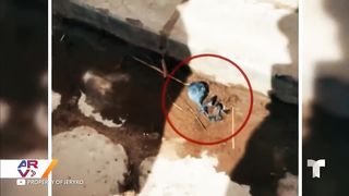 Новая Находка Тела Инопланетянина, Которую не Могут Объяснить Ученые