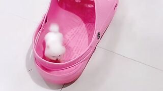 Бунча ширинлигини