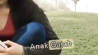 Fakta unik tentang gajah dan kehidupan manusia