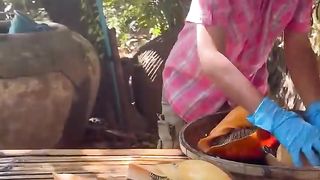 Yummy coconut snail cooking buy smart son - Chef Seyhak.